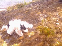 /album/patu/whoo13-326-jpg/